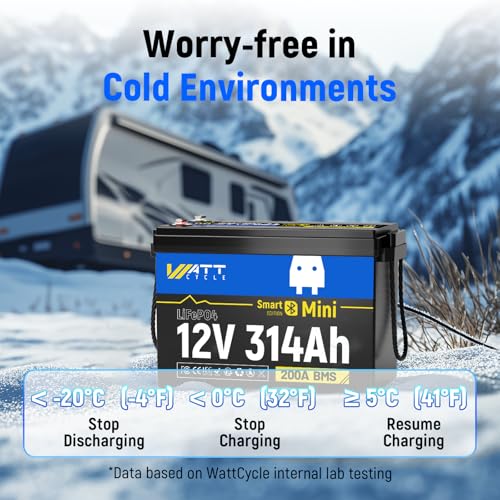 12V 314Ah Mini LiFePO4 Lithium Battery with Bluetooth 5.0, 200A BMS, 4.01kWh Energy, Upgraded Aluminum Cooling Fins & Braided Copper Wires, for RV