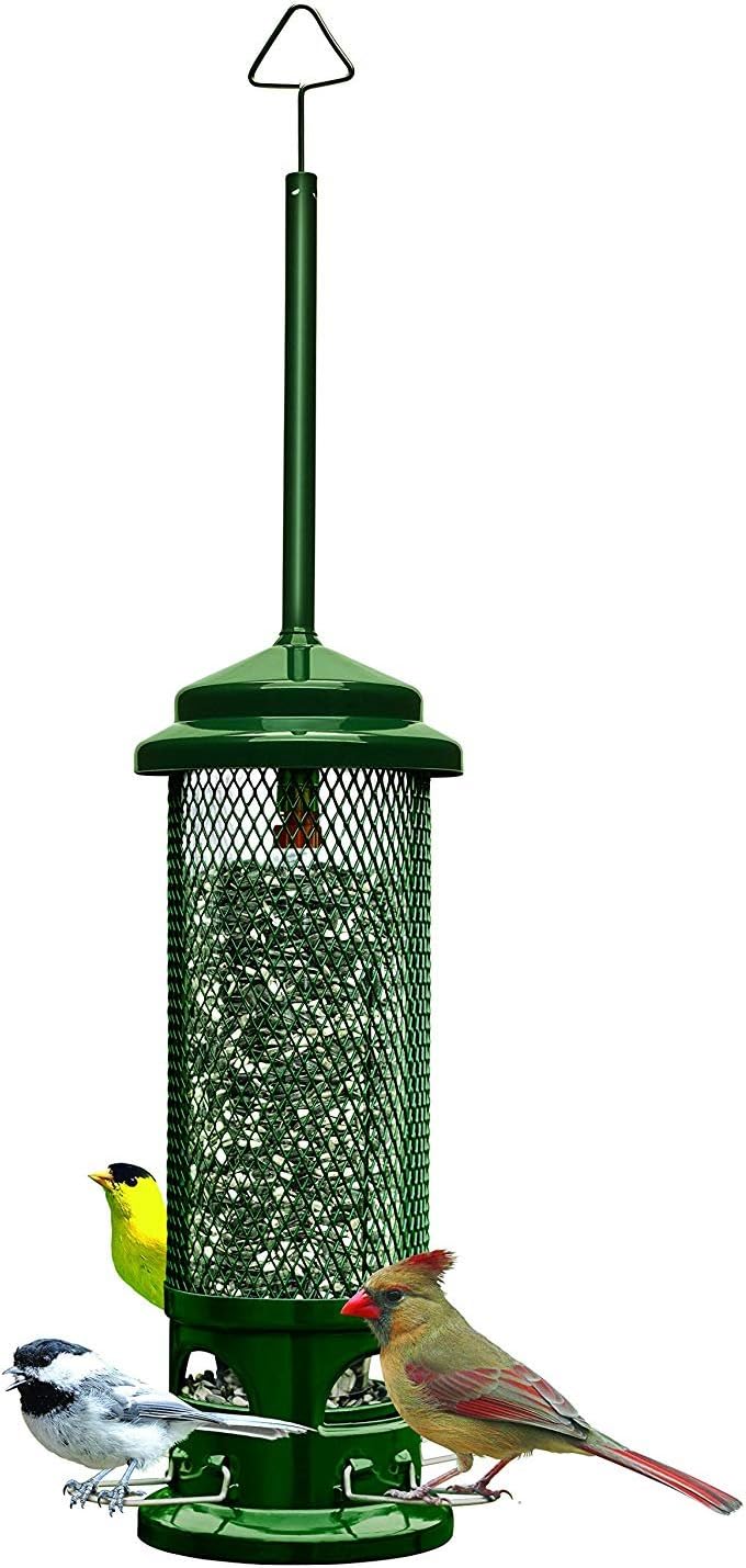 Squirrel Buster Legacy Squirrel-proof Bird Feeder w/4 Metal Perches, 2.6-pound Seed Capacity Pack of 2