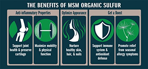 MSM Organic Sulfur Crystals by No Boundaries Health and Wellness – All-Natural, Premium Health Supplement: 99.9% Pure MSM – Benefits: Joint Pain