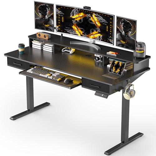 48x24 Inches Electric Standing Desk with 2 Drawers, Height Adjustable Stand up Desk for Home Office, Ergonomic Sit to Stand Table with Storage Shelf