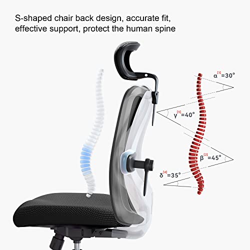 SIHOO M18 Ergonomic Office Chair for Big and Tall People Adjustable Headrest with 2D Armrest Lumbar Support and PU Wheels Swivel Tilt Function Black