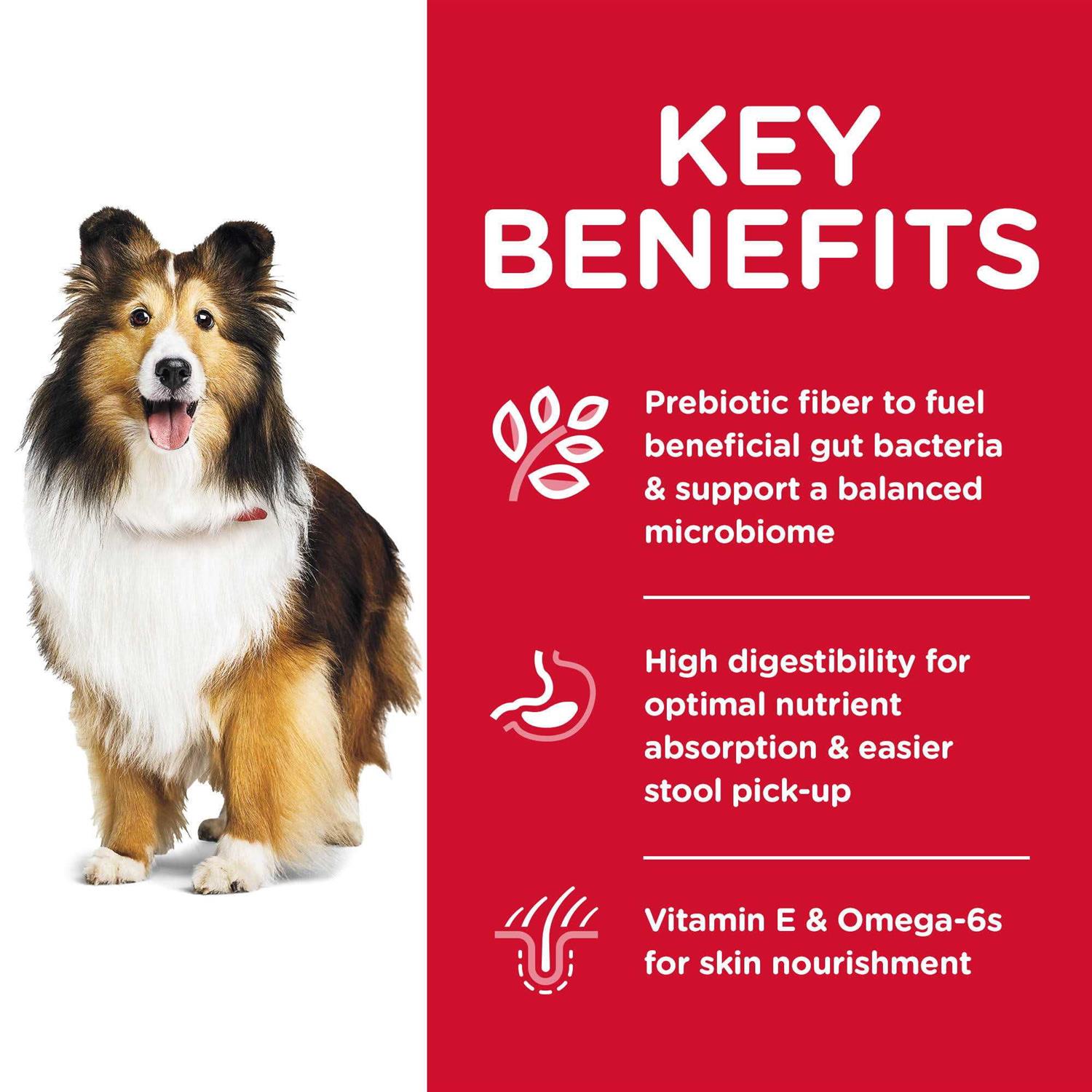 Hill's Science Diet Adult Sensitive Stomach &amp; Skin Dry Dog Food - Pet Supplies online store