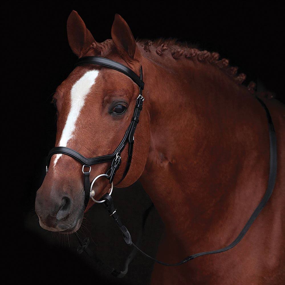Micklem Competition Bridle