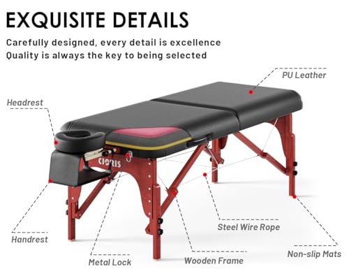 CLORIS 84" Professional Massage Table Portable 2 Folding Lightweight Facial Solon Spa Tattoo Bed Height Adjustable with Carrying Bag & Aluminium Leg