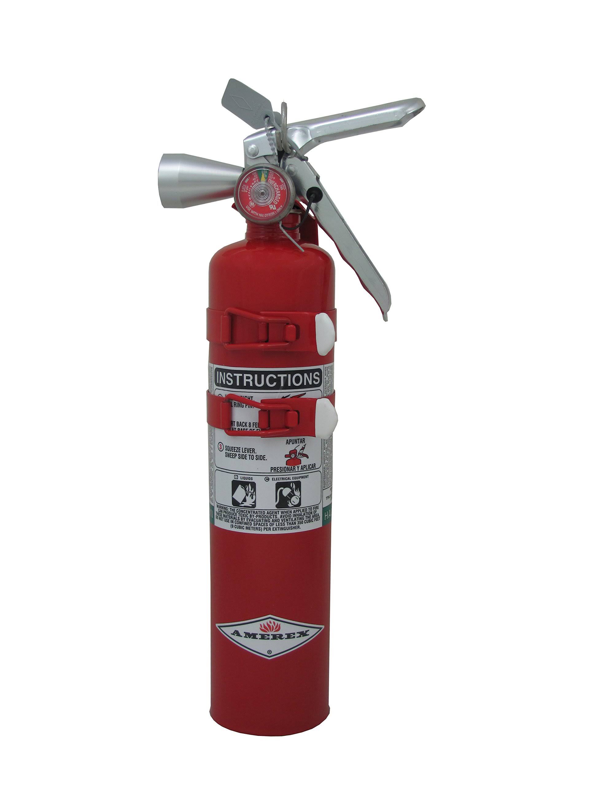 Amerex B385TS Fire Extinguisher, 2B:C, Halotron, 2.5 lb