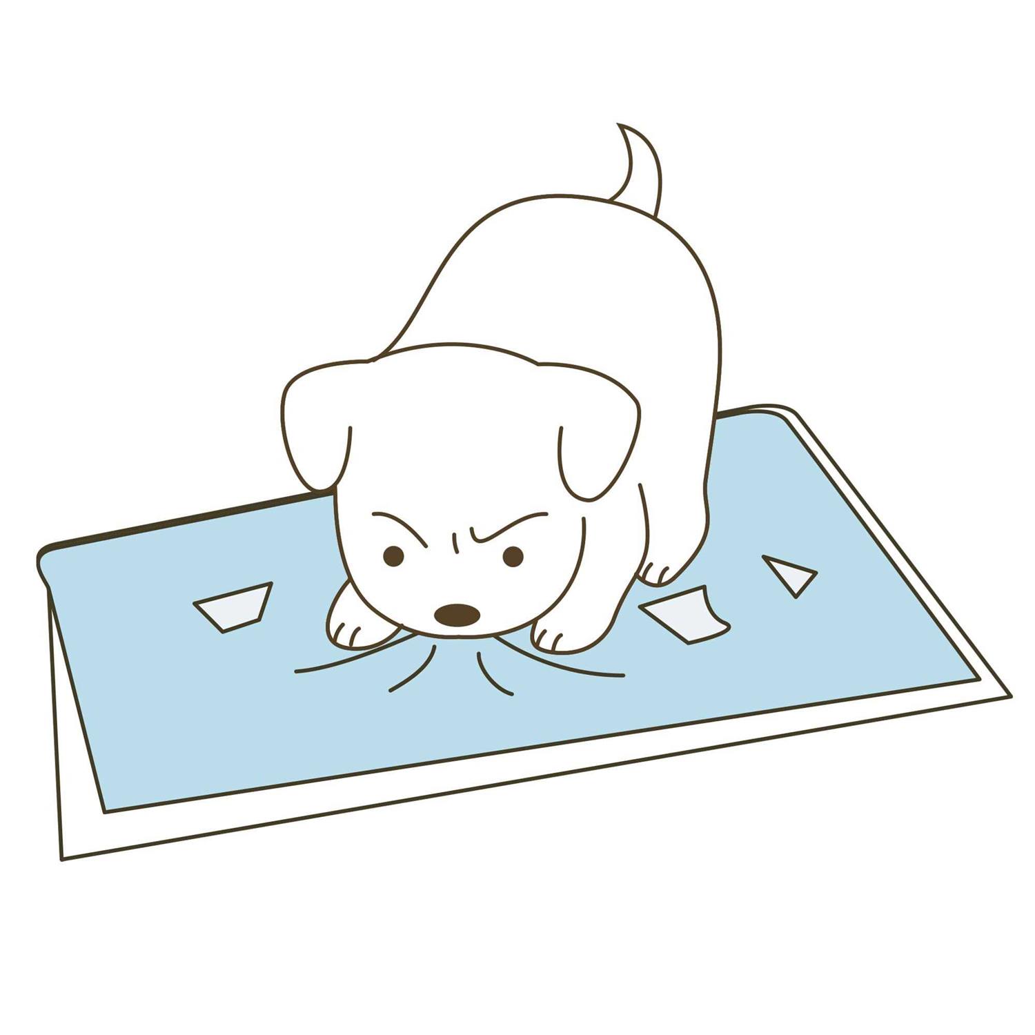 Richell PAW Trax High Wall Potty Pad Tray - Pet Supplies online store