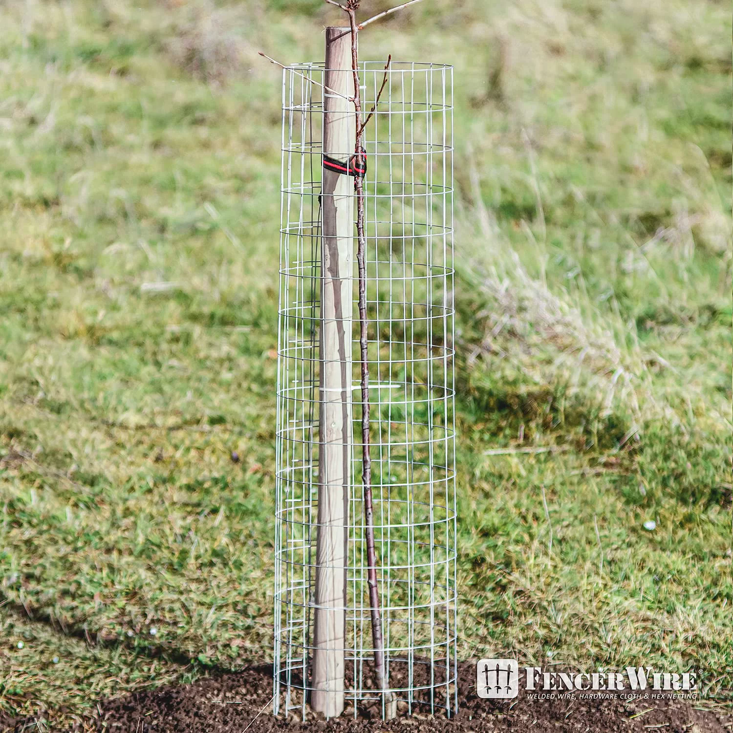 Fencer Wire 14 Gauge Galvanized Welded Wire Fence, 2" x 4" Mesh Opening for Vegetables, Garden Fruits & Animals Enclosure - Curated Treasures Market