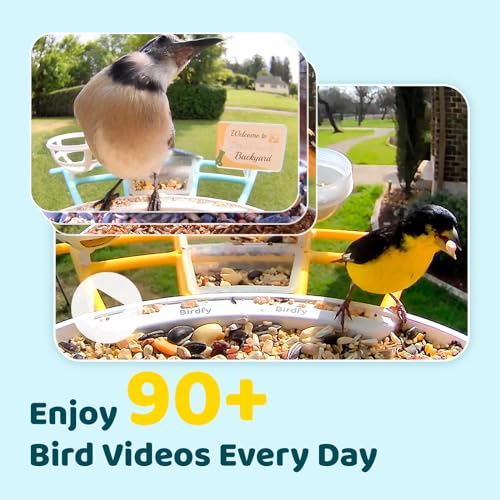 NETVUE Birdfy® Pro Bird Feeder with Camera, Wider Perch DIY Add-ons, Hummingbird Feeder, Suet Ball, Jelly Feeder