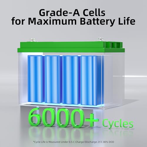 Lithium LiFePO4 Deep Cycle Battery, Low-temp Protection, 4000-15000 Cycletimes, Perfect for Homeback up Power, Solar Power, Off-Grid
