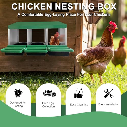 Chicken Nesting Box, 6 Compartments Chickens Egg Laying Nest Boxes for Hens