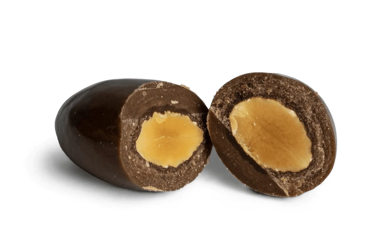 Dark Chocolate-Covered Almonds Bulk Food Service 20 lbs/9.07 kgs