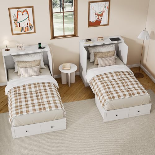 Queen Murphy Bed with Storage & Charging Station, Murphy Cabinet with Foldable Panel, Noisy Free, for Guest Bedroom, Living Room, Office