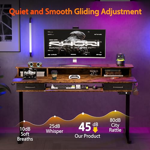 48x24 Inches Electric Standing Desk with 2 Drawers, Height Adjustable Stand up Desk for Home Office, Ergonomic Sit to Stand Table with Storage Shelf