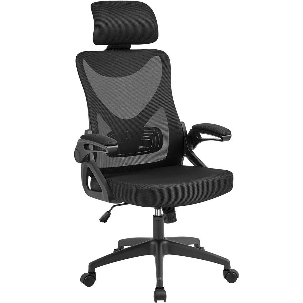 Alden Design Ergonomic Mesh Office Chair with High Back, Black