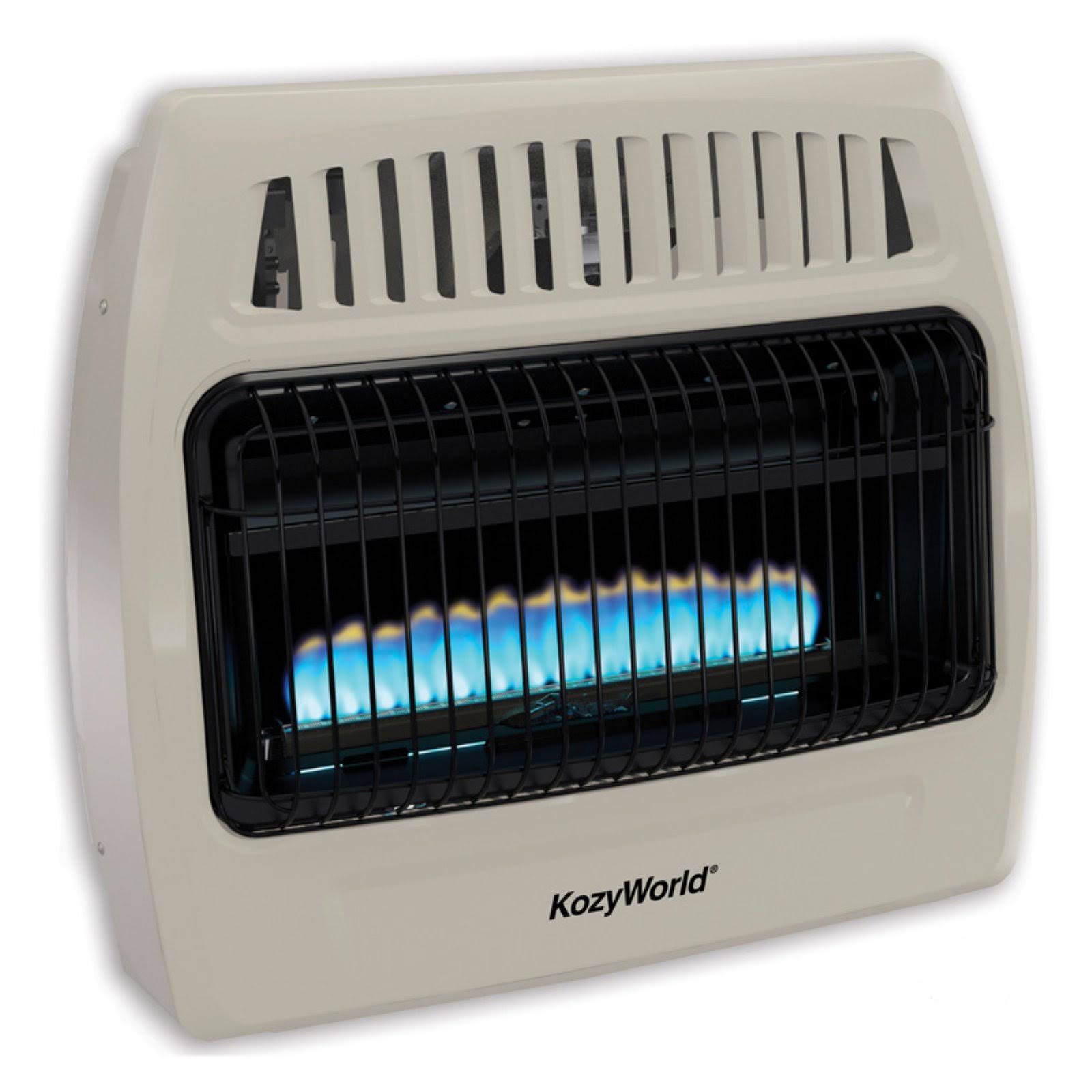 World Marketing KWD378 30K Dual GAS Wall Heater