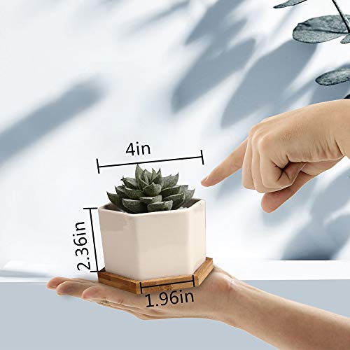 OAMCEG 6 Pack 4 Inch Succulent Pots - Small Succulent Planters