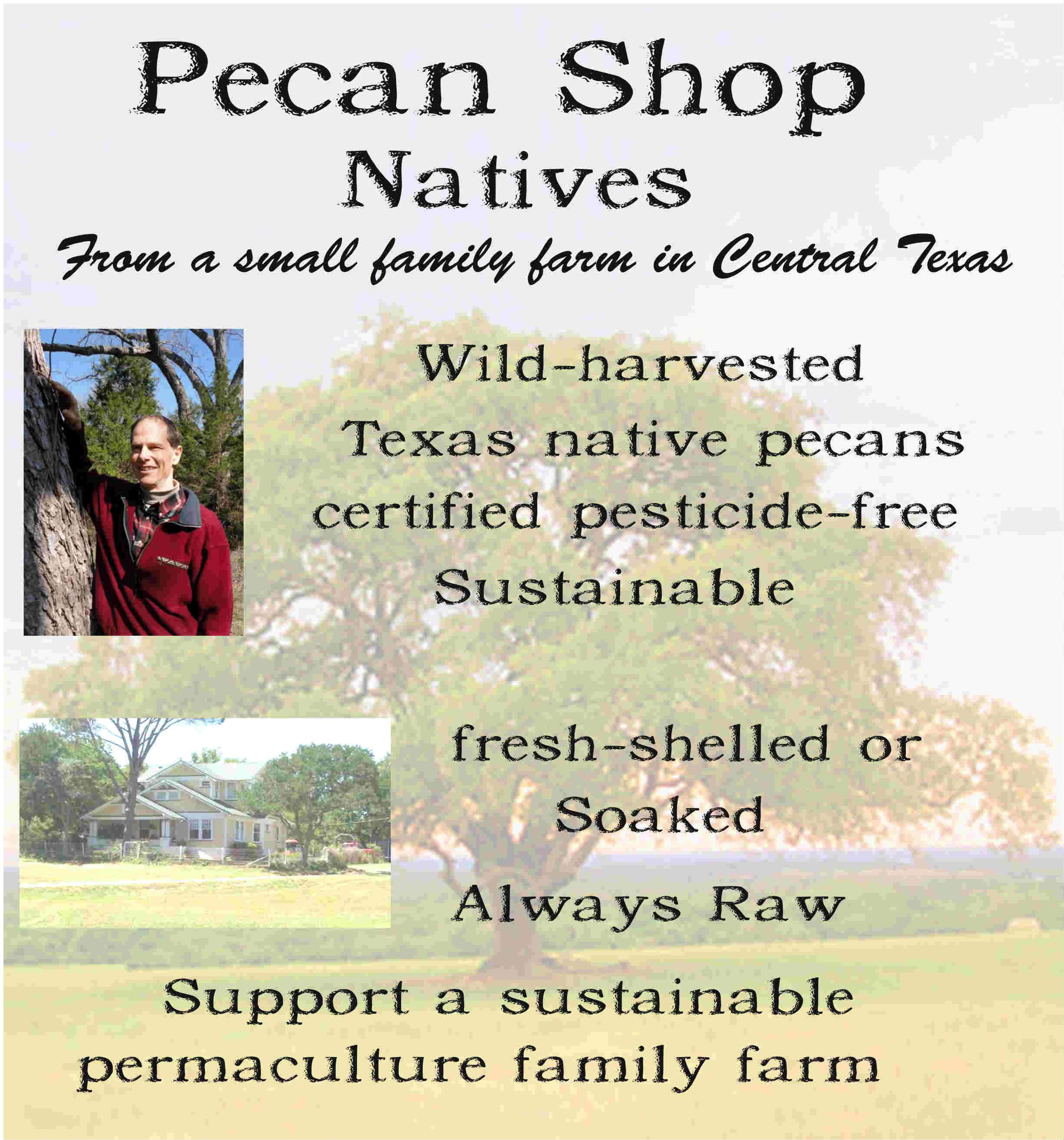 Pecan Shop Fresh Texas Native Pecan Halves, Unsprayed Raw Wild-Harvested-30 lb