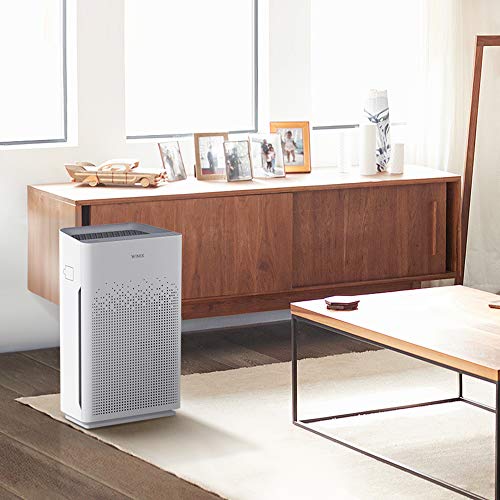 WINIX 5510 Air Purifier (New Generation of 5500-2) for Home Large Room Up to 1881 Ft&sup2; in 1 Hr, True HEPA
