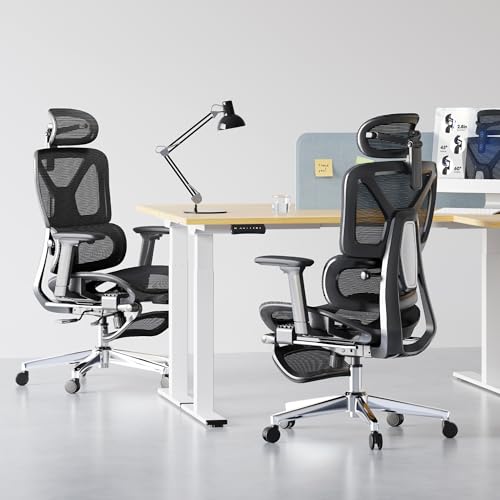 FLEXISPOT ErgoX Premium Ergonomic Office Chair with Footrest- Adjustable 3D Armrests, Dynamic Lumbar Support, Recline & Tilt Function, Mesh Seat