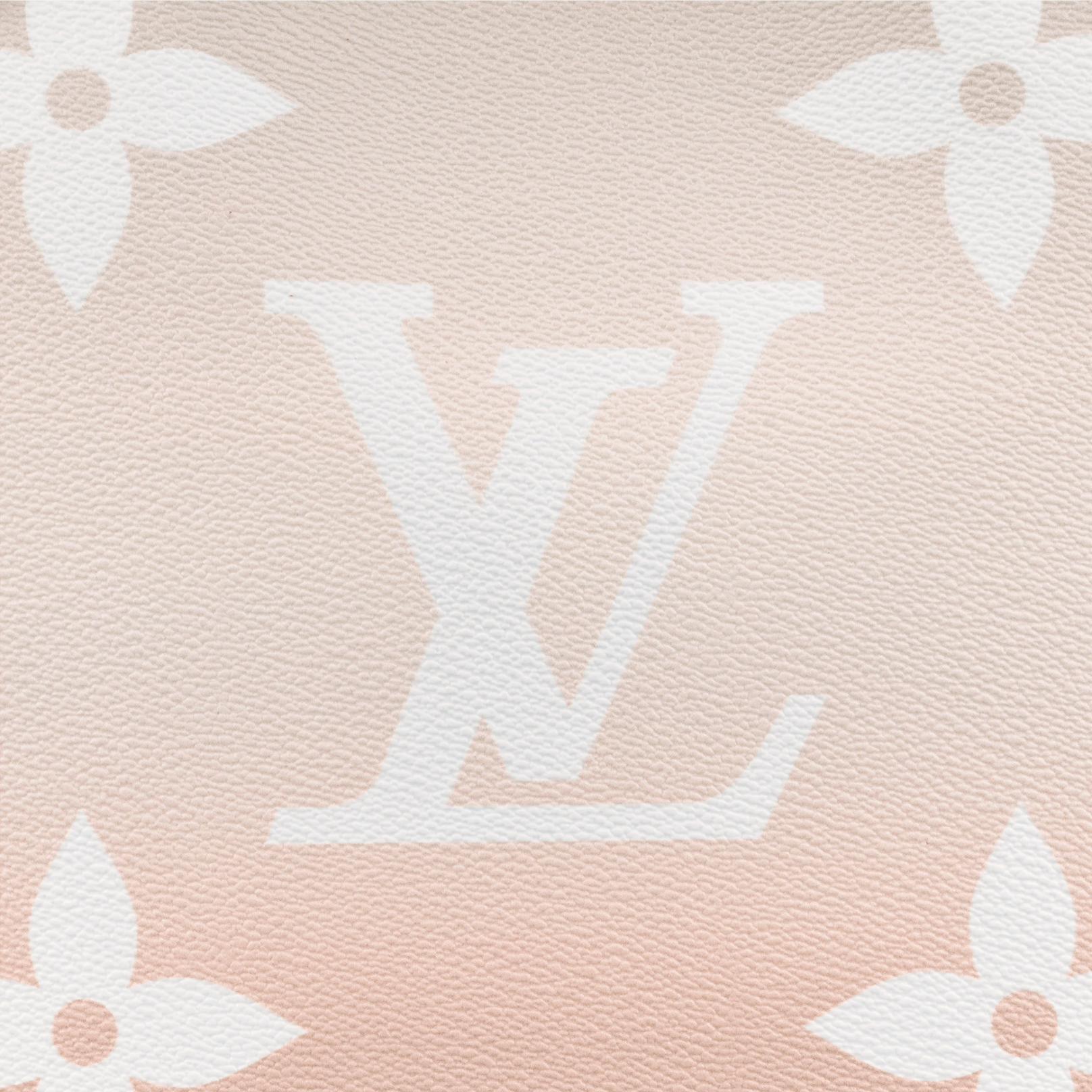 Louis Vuitton Neverfull MM M45679