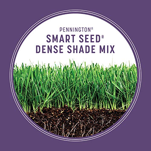 Pennington Smart Seed Dense Shade Grass Mix 3 lb
