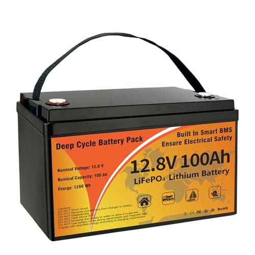 12V 100Ah LiFePO4 Lithium Battery, Group 31 Low-Temp Protection LiFePO4 Battery Built-in Smart BMS