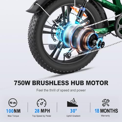 FREESKY 1200W Motor 48V 20Ah Removable Battery with Samsung Cells Full Suspension,29MPH+ Up to 90 Miles Step-Thru Folding Electric Bike for Adults
