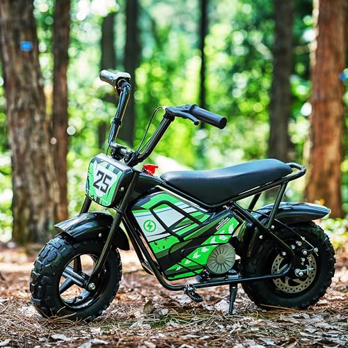 Electric Bike for Kids E Bikes Mini Dirt Bike Motorbike 250W 24V 9Ah Eletric Scooter Fast Dirtbike 2-Speed 10/12Mph 3-10 Old Teens Moped
