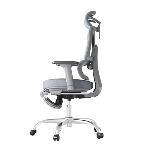 FLEXISPOT ErgoX Premium Ergonomic Office Chair with Footrest- Adjustable 3D Armrests, Dynamic Lumbar Support, Recline & Tilt Function, Mesh Seat