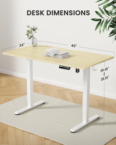 ErGear Height Adjustable Electric Standing Desk, 48 x 24 Inches Sit Stand up Desk, Memory Computer Home Office Desk with Two-Piece Desktop (Walnut)
