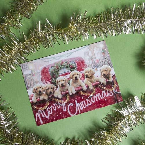 Avanti Press Christmas Cards, All The Love Your Heart Can Hold
