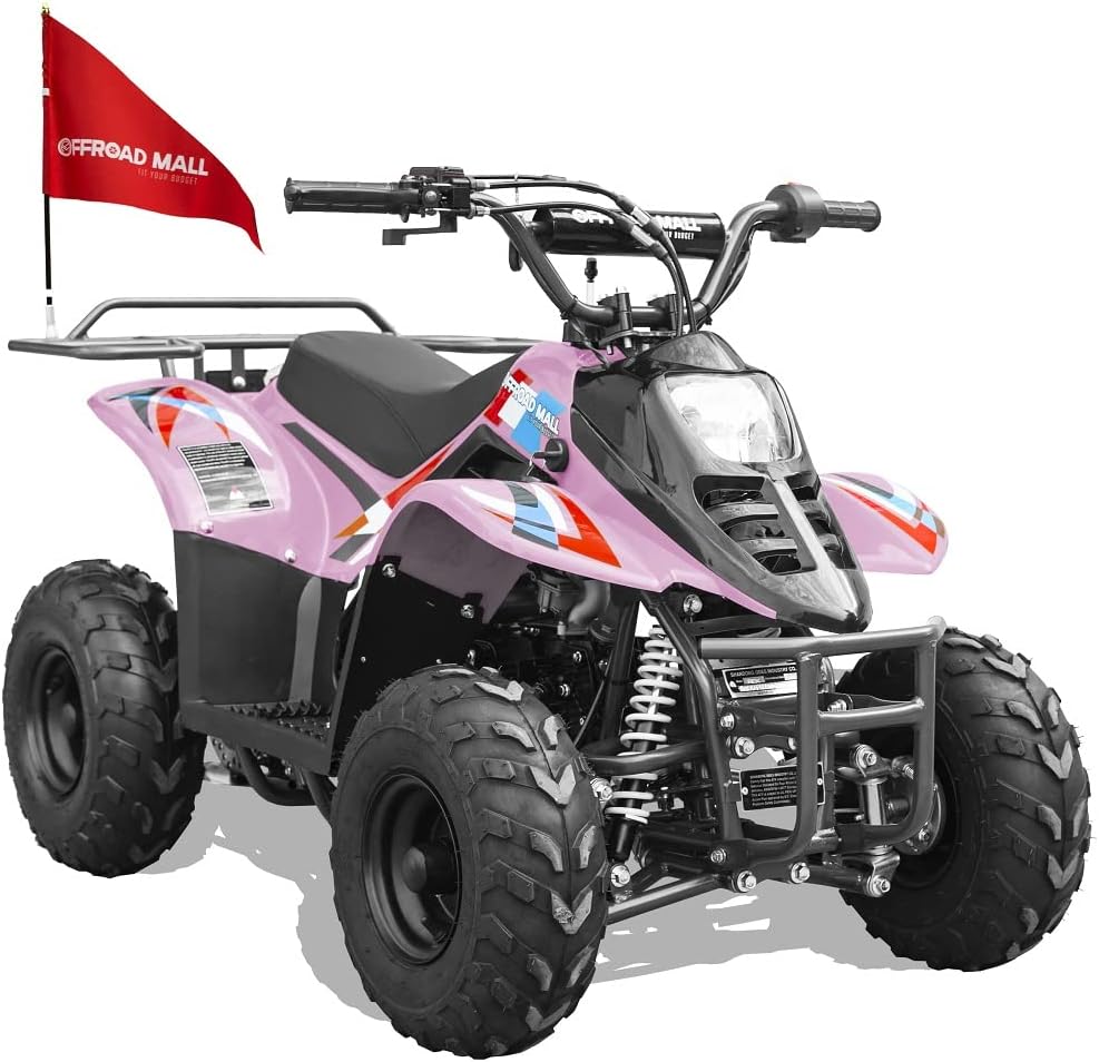 Offroad Mall REX 110cc Dirt Quad 4-Wheeler Gas Powered ATV for Kids, Remote Electric Start/Kill Switch, EPA & CARB Approved