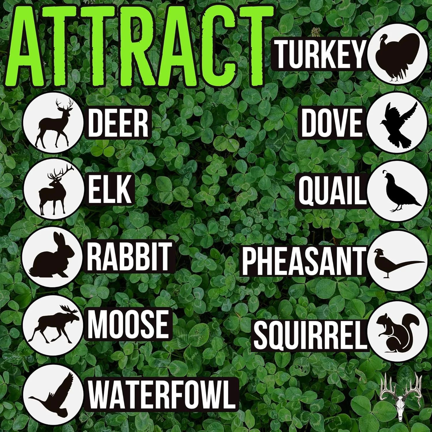 Crooked Bend Four Clover Combo Blend, 25LB Bulk, Perennial Food Plot Seed, Pheasant, Duck, Dove, Wildlife, Rabbit, Elk, & Wild Turkey Attractant