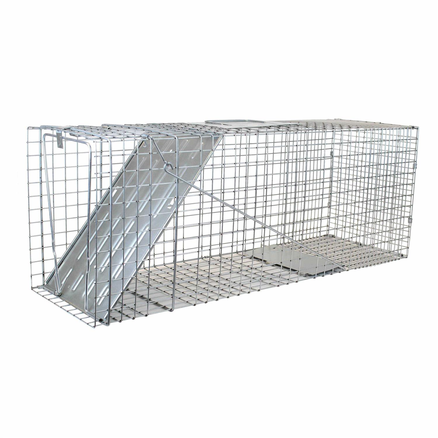 Havahart Large 1-Door Animal Trap - Sports Supplies Online Store