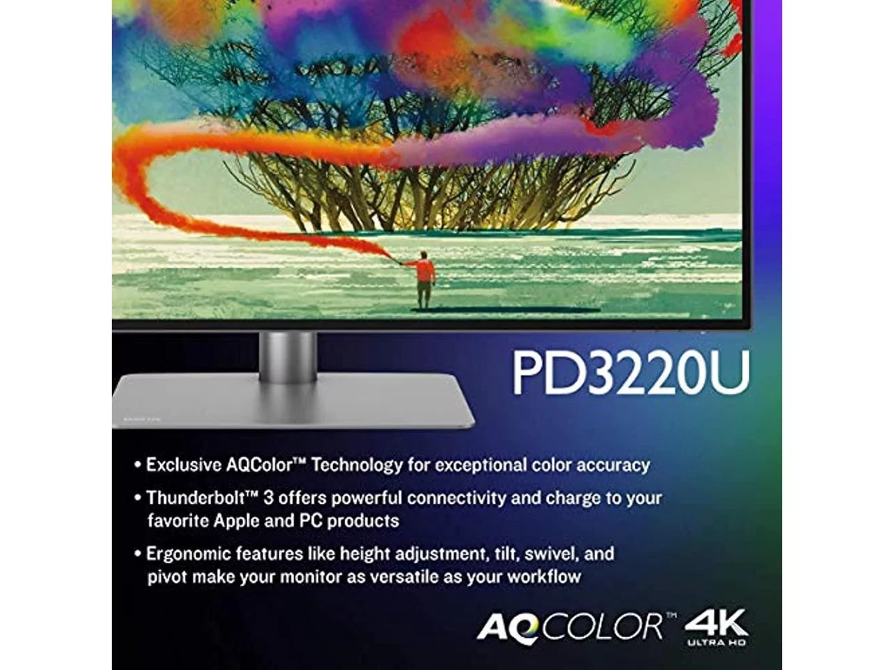 BenQ 32" (31.5" Viewable) 60 Hz IPS UHD Monitor 5 ms 3840 x 2160 (4K) HDMI, DisplayPort, Thunderbolt 3, USB, Headphone PD3220U