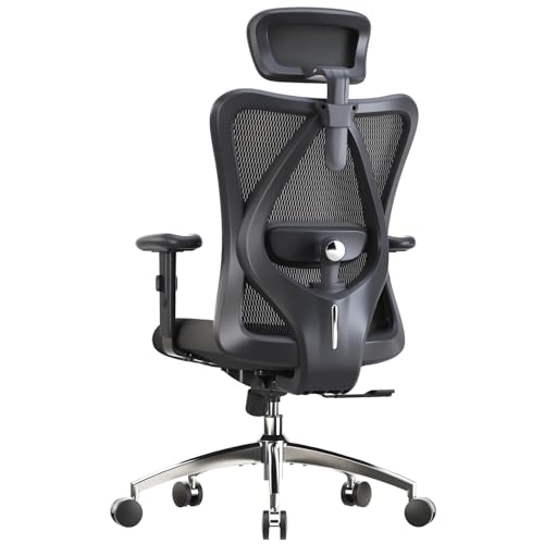 SIHOO M18 Ergonomic Office Chair for Big and Tall People Adjustable Headrest with 2D Armrest Lumbar Support and PU Wheels Swivel Tilt Function Black