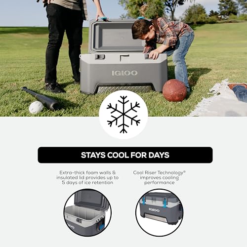 Igloo BMX Hard Coolers (25-72QT)