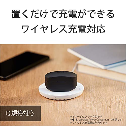 Sony Truly Wireless Noise Cancelling Headphone - Optimised for Alexa and Google Assistant - with Built-in mic for Calls - Bluetooth Connection