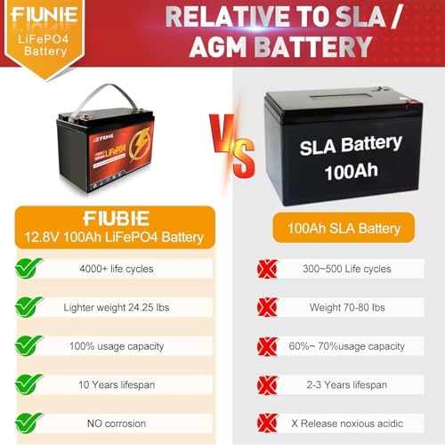 12V 100Ah lithium battery with Bluetooth for trolling motor, RV, Comping, Marine, Solar, Off-Grid