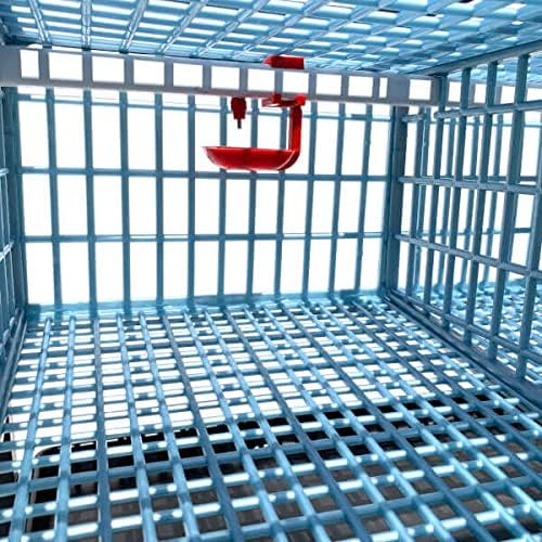 Quail Cage - 4 Layer (Power-Washable, Durable, ABS Plastic) | Hatching Time