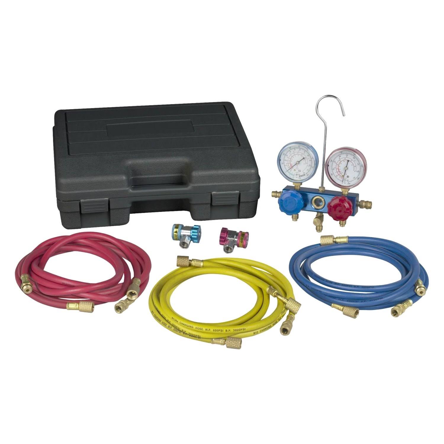 Robinair 49134A R134 Aluminum Manifold, Hose Set, and Service