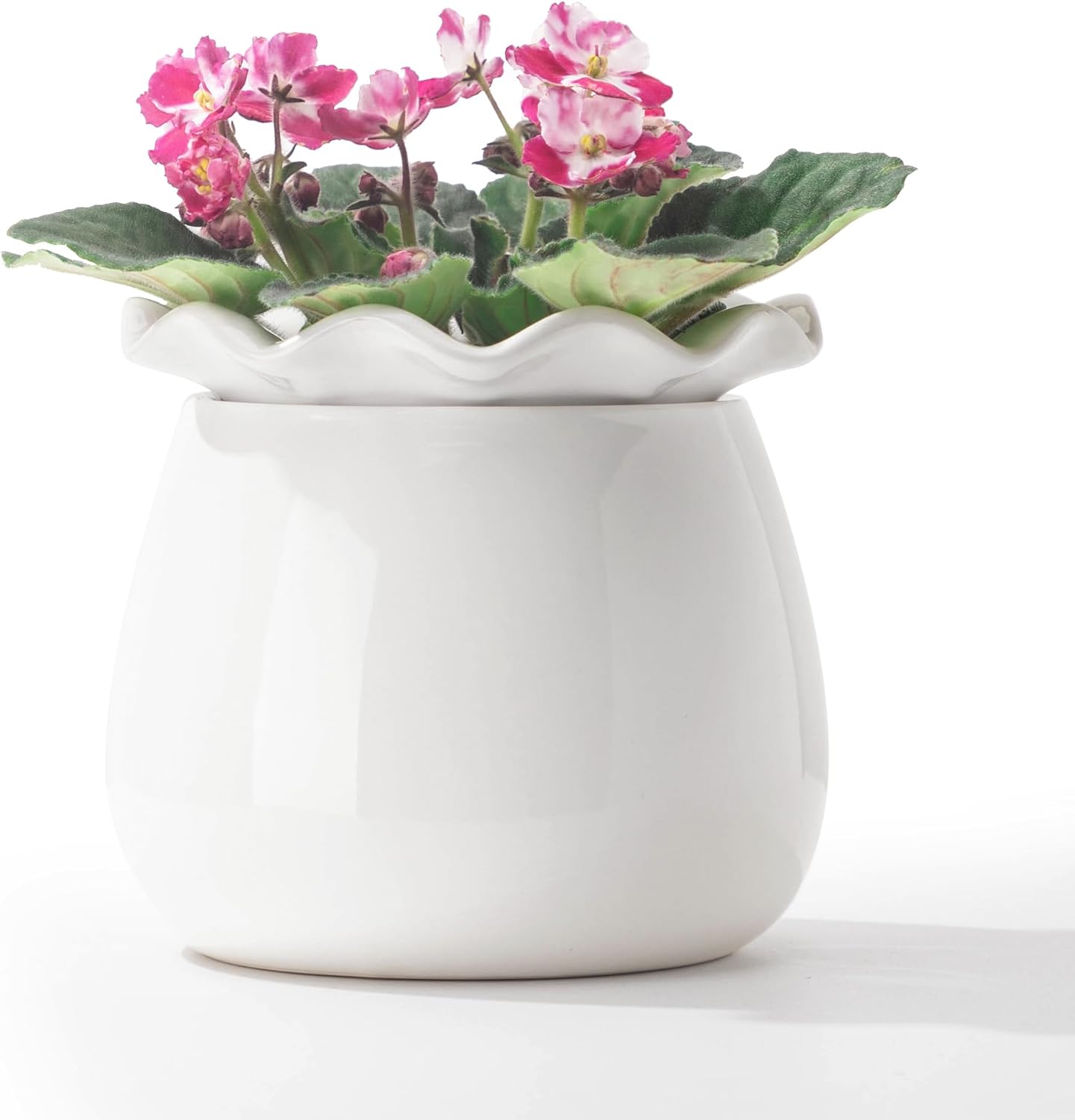 Self Watering Plant Pot, 6 Inch African Violet Pots Maintenance, Ceramic Self-Watering Planter for Indoor Plants