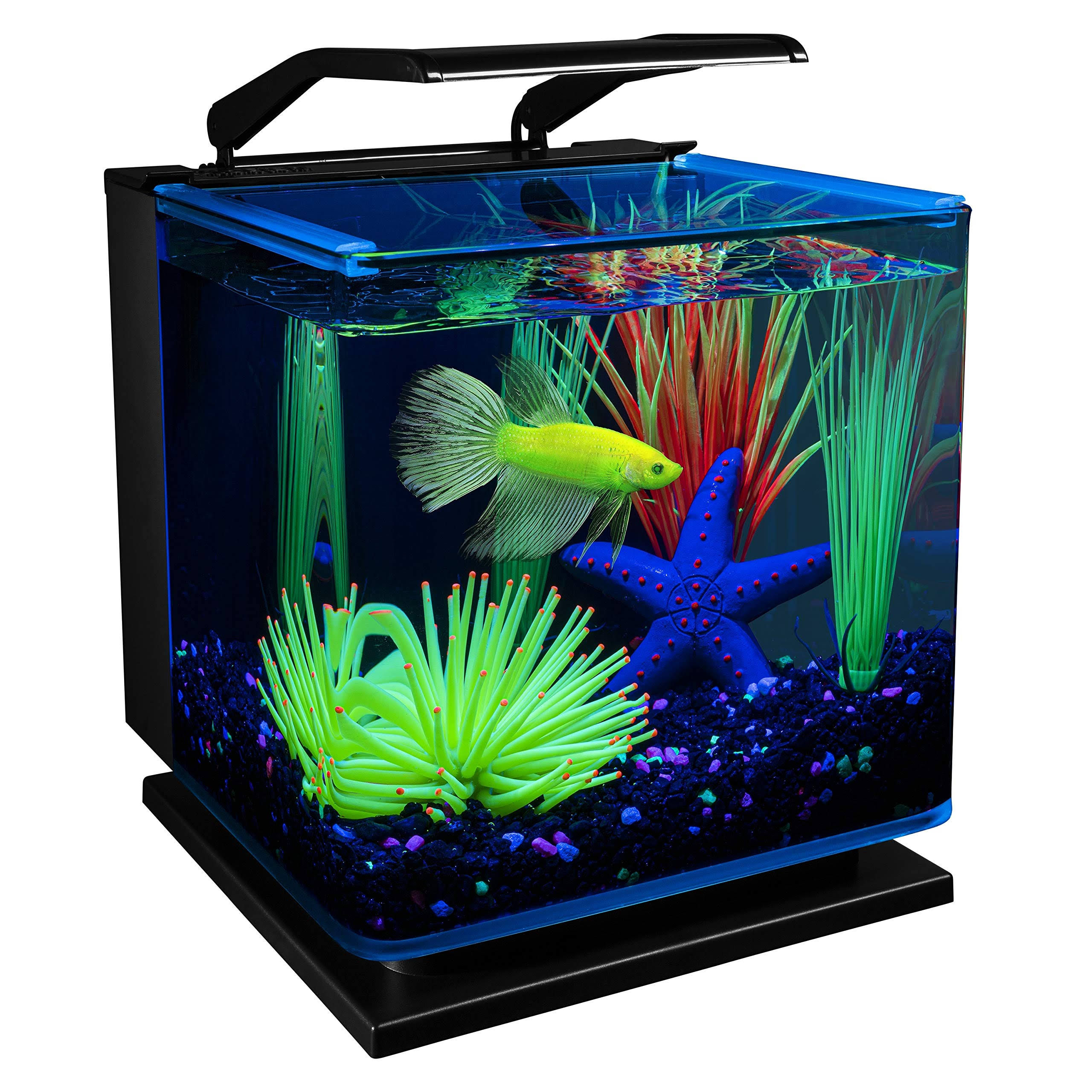 GloFish Betta Glass Aquarium Kit 3gal