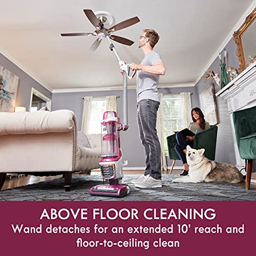 Kenmore DU5092 Bagless Upright Vacuum Lift-Up Carpet Vacuum Cleaner 2-Motor Power Suction with Hair Eliminator Brushroll, Pet Handi-Mate, 2L