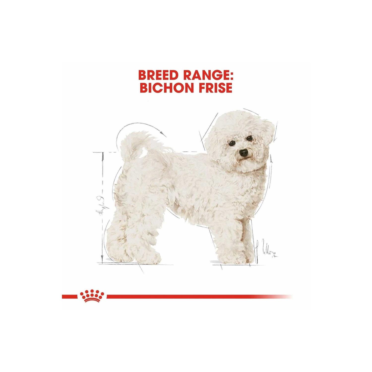 Royal Canin Adult Bichon Frise Dry Dog Food - Pet Supplies online store