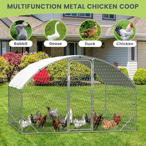 Large Metal Chicken Coop, Walk-in Poultry Cage