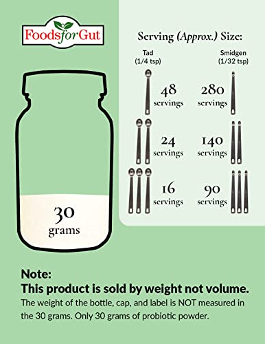 Bifidobacterium Lactis Probiotic Powder 500 Billion cfu's | Digestive & Immune Support | High Potency | B. Lactis (60 Grams)