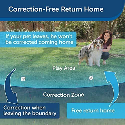 Pet Safe PIF00-13210 Stay and Play Extra Transmitter with Adapter