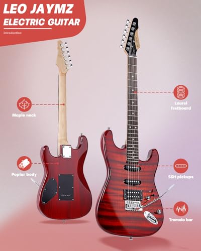 Leo Jaymz 39" Full Size ST Style Electric Guitar Starter Kit with SSH Pickup, 5W Portable Amp, Tuner, Gig Bag, Strap & Accessories (Violet Ocean)