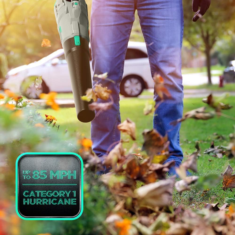 Litheli 20V Cordless Leaf Blower, Battery Leaf Blower for Cleaning Leaves, Dust, Snow on Lawn, Yard, Deck, with 4.0Ah Battery & Charger Included